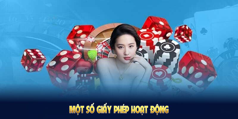Một số giấy phép thường gặp